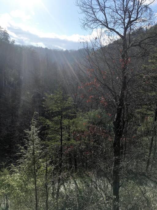 Little Cabin All To Yourself Sevierville Extérieur photo